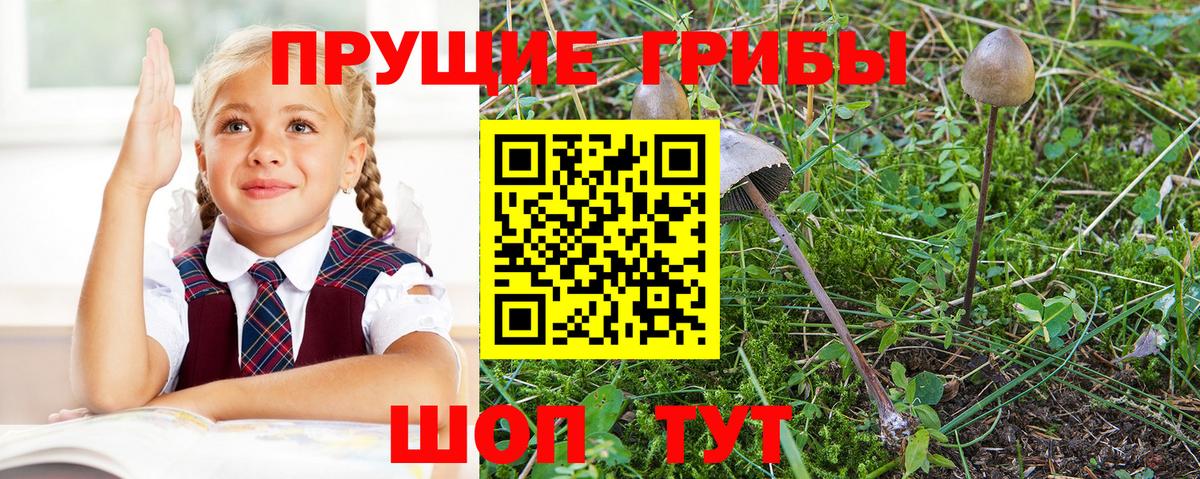 Галлюциногенные грибы MAGIC MUSHROOMS  Вход с VPN  Лангепас 