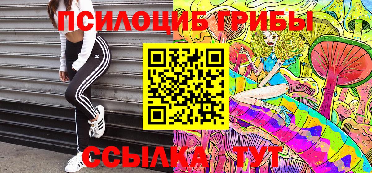 Псилоцибиновые грибы Psilocybe Лангепас